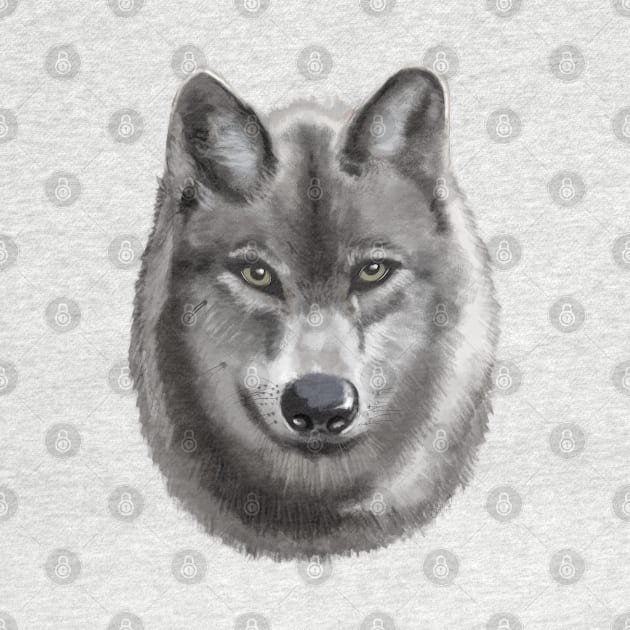 Grey female Wolf by coxemy